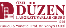Düzen logosu